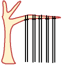 tree loom